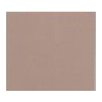 LIFE PAINT COMPANY 10-53G Gal Omaha Tan Conc Color Seal 100% Acrylic